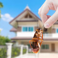 DIY Pest Traps and Repellents: Keep Your Home Safe and Organized