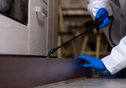 A Complete Guide to Pest Inspection and Treatment